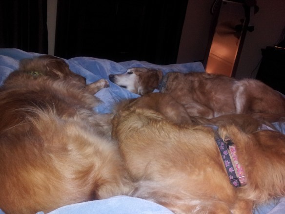 Watching a movie in bed...